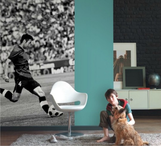 Fotomural ideal para una decoración de fútbol